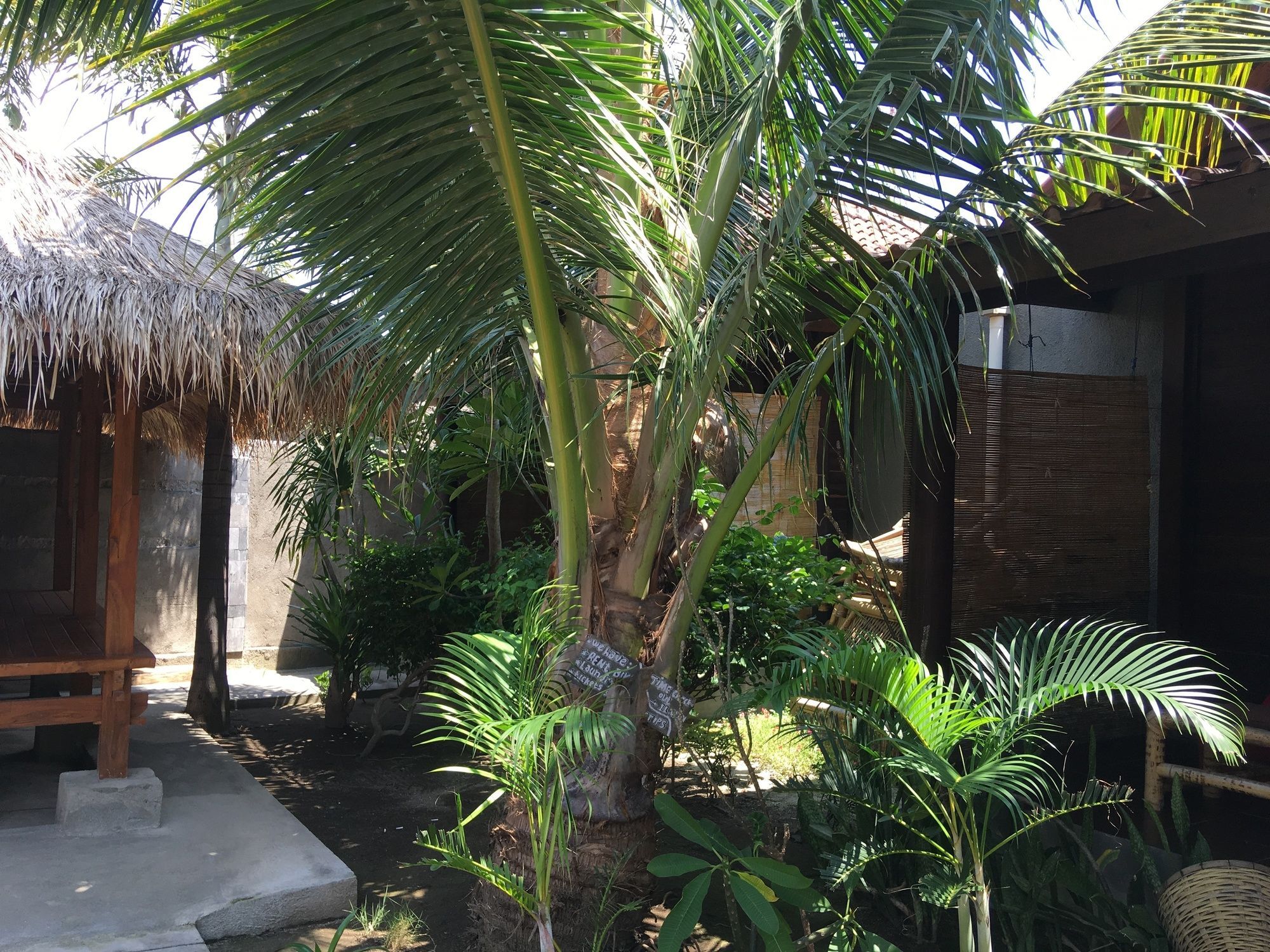 Alexyane Paradise Bungalow Gili Trawangan Eksteriør billede